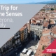 verona