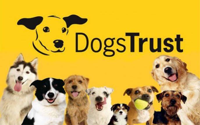Dogs Trust Logo Conference Budapest