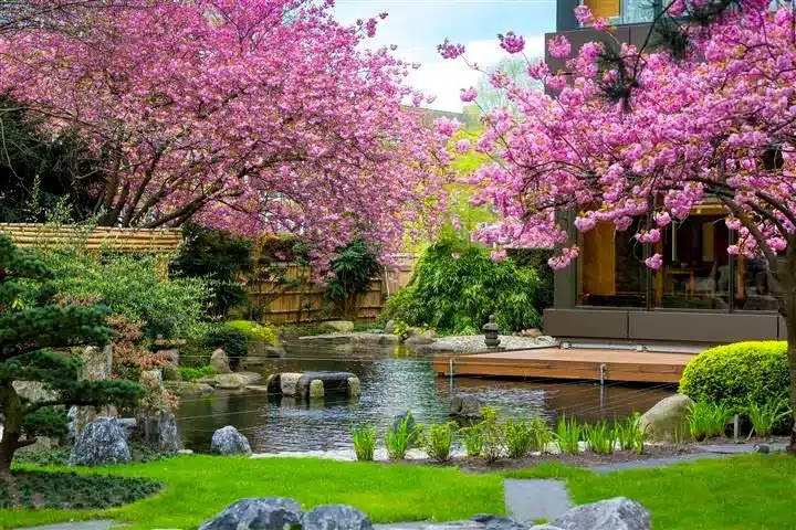 amsterdam conference hotels