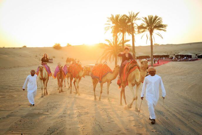 Camel Ride in the Desert Dubai
