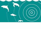 aquatic_noise_logo