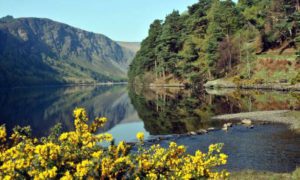 Glendalough Wicklow Ireland