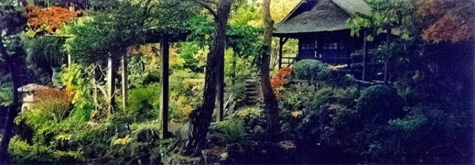 Japanese Garden Kildare Ireland